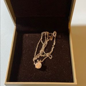 Sparkling Pedant Silver around